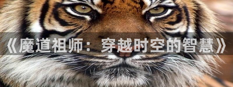 囧次元怎么下载