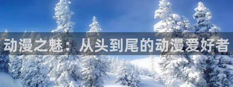 囧次元动漫官方正版