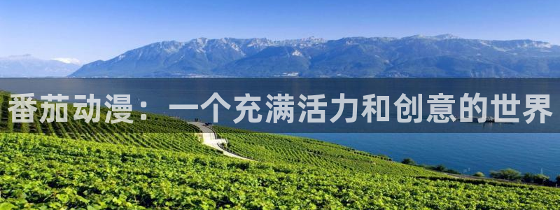 囧次元最新版下载