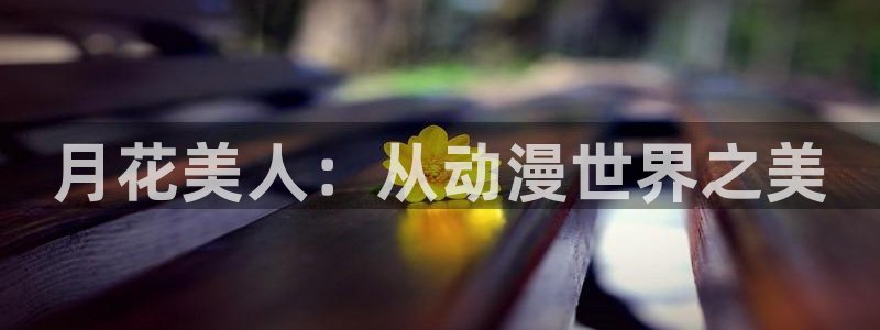 囧次元官方app下载