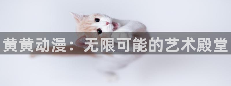 囧次元动漫app下载