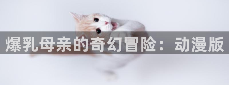 囧次元动漫官方正版