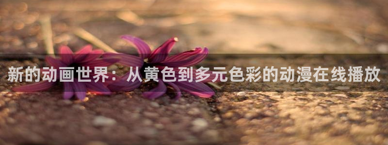 囧次元官方网站